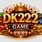 DK222 GAME